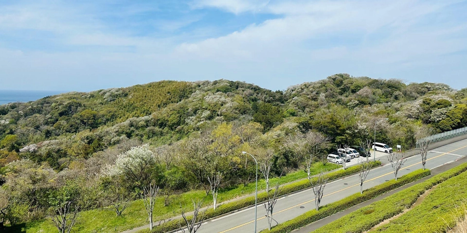 客室タイプ ハリウッドツイン